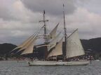 404 Russell Tall Ships Soren Larsen.JPG (43 KB)